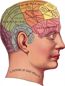 brain head